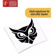 Resim Baykuş - Araç, Oto, Laptop, Duvar Uyumlu Sticker 40 40 Cm 