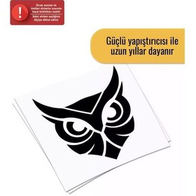 Resim Baykuş - Araç, Oto, Laptop, Duvar Uyumlu Sticker 40 40 Cm 