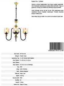 Resim AVONNI AV-4161-3E Eskitme Kaplama Modern Avize, E27, Metal, Cam, 62cm 