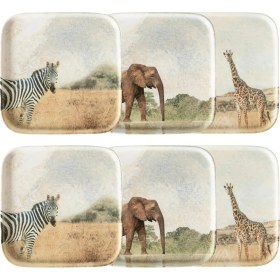 Resim Mcreative Concept Wild Kare Tabak Seti 22 cm 6'lı 