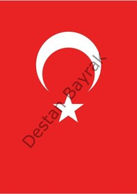 Resim 100X150CMtürk Bayrağı 