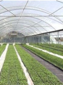 Resim 160 Micron Naylon Örtü, Şeffaf Su Geçirmez Naylon, 2x17 Metre 
