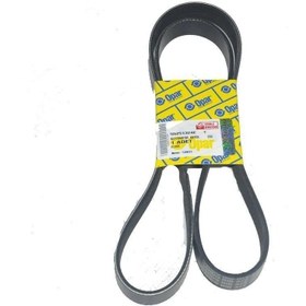 Resim Fiat Linea Alternatör Kayışı 1.6Mjtd 6K1335 Orijinal OPAR 22251324E 
