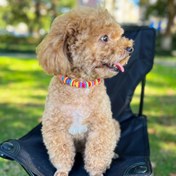 Resim 1pc Şirin İnci Köpek Kolyesi, Yağmur Kolyeli Köpek Kolyesi, ABS Malzeme, Sevgililer Günü Hediyesi 