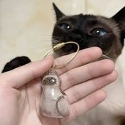 Resim Sevimli Şeffaf Kedi Tüyü Saklama Kabı - Askılı, Kitty Sahipleri İçin - Anahtarlık Süsü, Çanta & Ev Dekoru - Minimalist Evcil Hayvan Anısı Hediyesi, Yavru Kedi Aksesuarları, Çanta Aksesuarı, Renkli Tasarım 