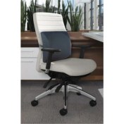 Resim Ortopedik Sırt Minderi Bel Yastığı 