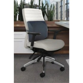 Resim Ortopedik Sırt Minderi Bel Yastığı 