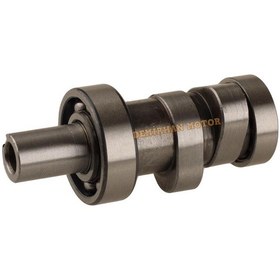 Resim Bajaj Pulsar 200 Ns Eksantrik Mili İndia 