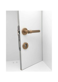 Resim Erva Handles Zk79 Mat Antik Sarı Rozetli Yale Çelik Kapı Kolu 1 Takım 