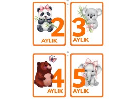 Resim PremiumPort Renkli ve Canlı 22 Adet Bebek ve Hamilelik Anı Fotoğraf Kartları Seti 