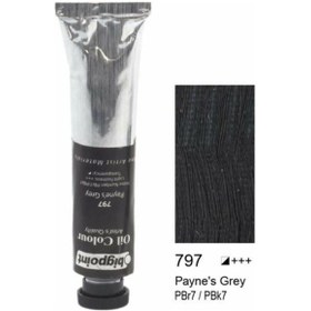 Resim Bigpoint Yağlı Boya 45 ML 797 Paynes Grey 