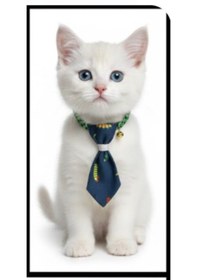 Resim Tırtıl Desen Kravat Kedi Tasma & Yavru Köpek Tasma 13cm-24cm 