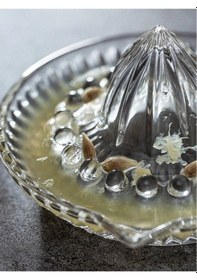 Resim Cam Limon Sıkacağı 1 Adet Çok Renkli 