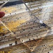 Resim Yeniden Kullanılabilir Jel Baskı Plakası - Solmaya Dirençli, Renk Sabit Tek Baskı, Laserjet Inkjet için Uygun - Kabartma Sanatı, Kart Yapımı ve Scrapbooking ile Günlük Yazım için İdeal Seçim 