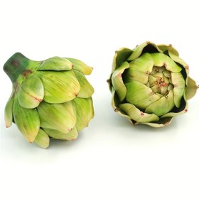 Resim 1 adet, El Sanatları Yapay Sebze Yapay Kaktüs Gerçekçi Yeşil Mor Kaktüs Bitkisi Yapay Çiçek Buketi Dekorasyon Noel Partisi Ev Mutfak Sofra Takımı, Ev Dekorasyonu, Mutfak Dekorasyonu, Tuhaf Şeyler, Mini Şeyler, Sevimli Estetik Şeyler, Havalı Cihazlar 