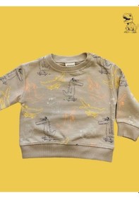 Resim Cantoy Erkek Bebek Dinazor Desenli Sweatshirt-15354 Kahverengi 
