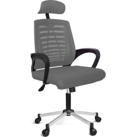 Resim Türksit Karizma File Müdür Koltuk Krom Ayak Gri 