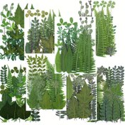 Resim 21 Parça/Paket DIY Doğal Kuru Yapraklar, Gerçek Bitki Örneği ile Fotoğraf Çerçevesi Kabartma Boyama Dekorasyon ve Parti Hediyeleri İçin 
