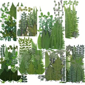 Resim 21 Parça/Paket DIY Doğal Kuru Yapraklar, Gerçek Bitki Örneği ile Fotoğraf Çerçevesi Kabartma Boyama Dekorasyon ve Parti Hediyeleri İçin 