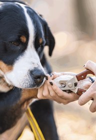 Resim Köpek ve Kedi Tırnak Makası Ergonomik Ahşap Saplı - Kırmızı 