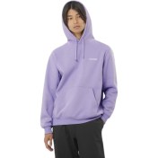 Resim Salomon Logo Hoodie Erkek Sweatshirt 