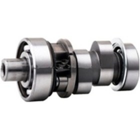 Resim Pulsar Ns 200 Eksantrik Mili Moto11 