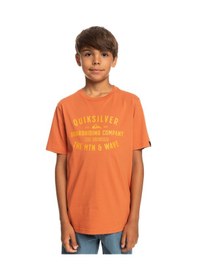 Resim Quiksilver Quıksılver Qs Surf Lockup Ss Yth Cms0 Erkek Çocuk Tişört Turuncu 