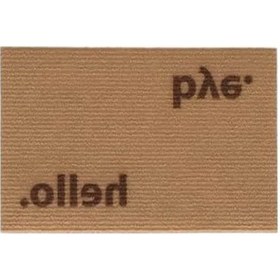 Resim Kıl Paspas Dış Mekan Kapı Önü Kullanımı İçin 40x60 Cm Ölçüsünde Açık Bej 