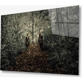 Resim Doğa Cam Tablo 4mm Dayanıklı Temperli Cam 