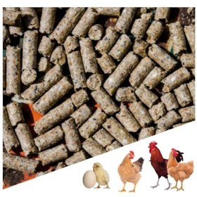 Resim Narım 10 Kg Pelet Proteinli Özel Tavuk Besi Yumurta Yemi 