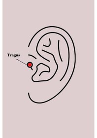 Resim Mey İthalat 316l Çelik Gümüş Renk Zirkon Taşlı Çiçek Tragus Piercing 