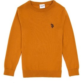 Resim U.S. Polo Assn. Erkek Çocuk Hardal Basic Kazak 50315586-VR072 