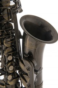 Resim Roy Benson AS-202A Alto Saksafon 