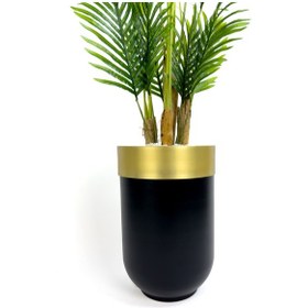 Resim Areka Palmiyesi 160cm Siyah Gold Metal Darbuka Saksıda H 
