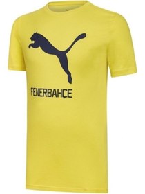 Resim Fenerbahçe Puma Fenerbahçe Cat Tee Fenerbahçe Futbol Tişörtü 77313601 