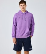 Resim Champion Icons Hooded Sweatshirt 