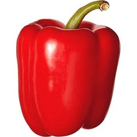 Resim 20 Adet Büyük Kırmızı Dolmalık Biber Tohumu 