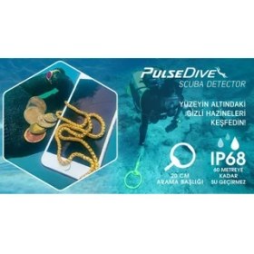 Resim Nokta&Makro Dedektör Pulsedive Scuba Dedektörü - Tekli 20CM - Sarı 