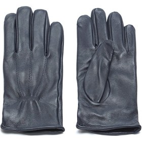 Resim Kip Lacivert Eldiven 001 