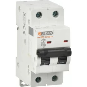 Resim Günsan Elektrik Valta Otomatik SIG.10KA C Tip 2p 32A 