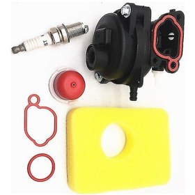 Resim Uyumlu 09p602-0001-h1 09p602-0002-h1 09p602-0003-h1 Motor 799583 593261 595656 591979 591160 Parça Karbüratör 
