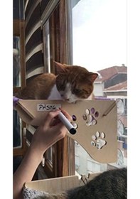 Resim Büyük Boy Ahşap Yapışan Kedi Yatağı Vantuzlu Açık Bej 