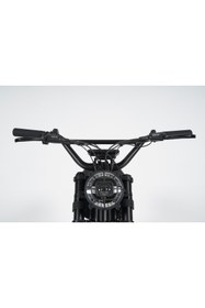 Resim Ape Ryder Gibbon Elektrikli Bisiklet 