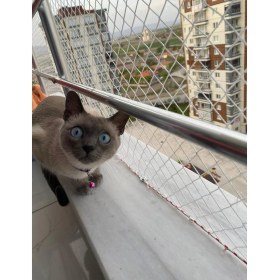 Resim Kedi Filesi 1,5X11M Kedi Koruma Filesi Kuş Filesi Kuş Önleme Filesi Güvenlik Filesi 