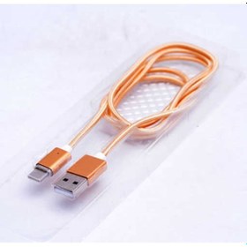 Resim Goocamp Gold Metal Manyetic Uçlu Lightning Usb Kablo 