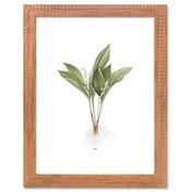 Resim The Mia Vimini Fotoğraf Çerçevesi Kahverengi 30x40cm CRV0025 