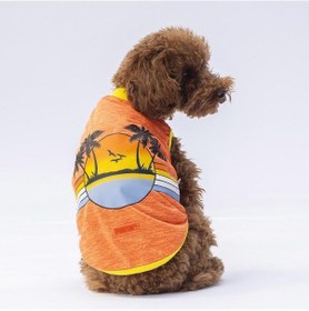 Resim Pawstar Turuncu Sunrise Kedi Köpek Tişörtü Kedi Köpek Kıyafeti 