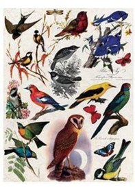 Resim Pirinç Dekopaj Kağıdı Model 48 Karışık 