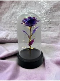 Resim Lapidaria Fanus Içerisinde Dekoratif Peri Led Işıklı Mor Solmayan Sonsuzluk Gülü Lamba Ve Melek Kolye 