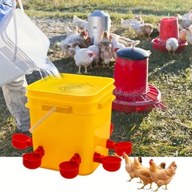 Resim 8 Adet Tavuk Suluk + 12L İçme Kovası, Ördekler ve Kuşlar için Otomatik Besleyici, Montaj Sonrası Kendiliğinden Durduran, Rastgele Parça Renkleri, Ambalajı Açarken Çiziklerden Kaçınmak İçin Dikkatli Tutun 